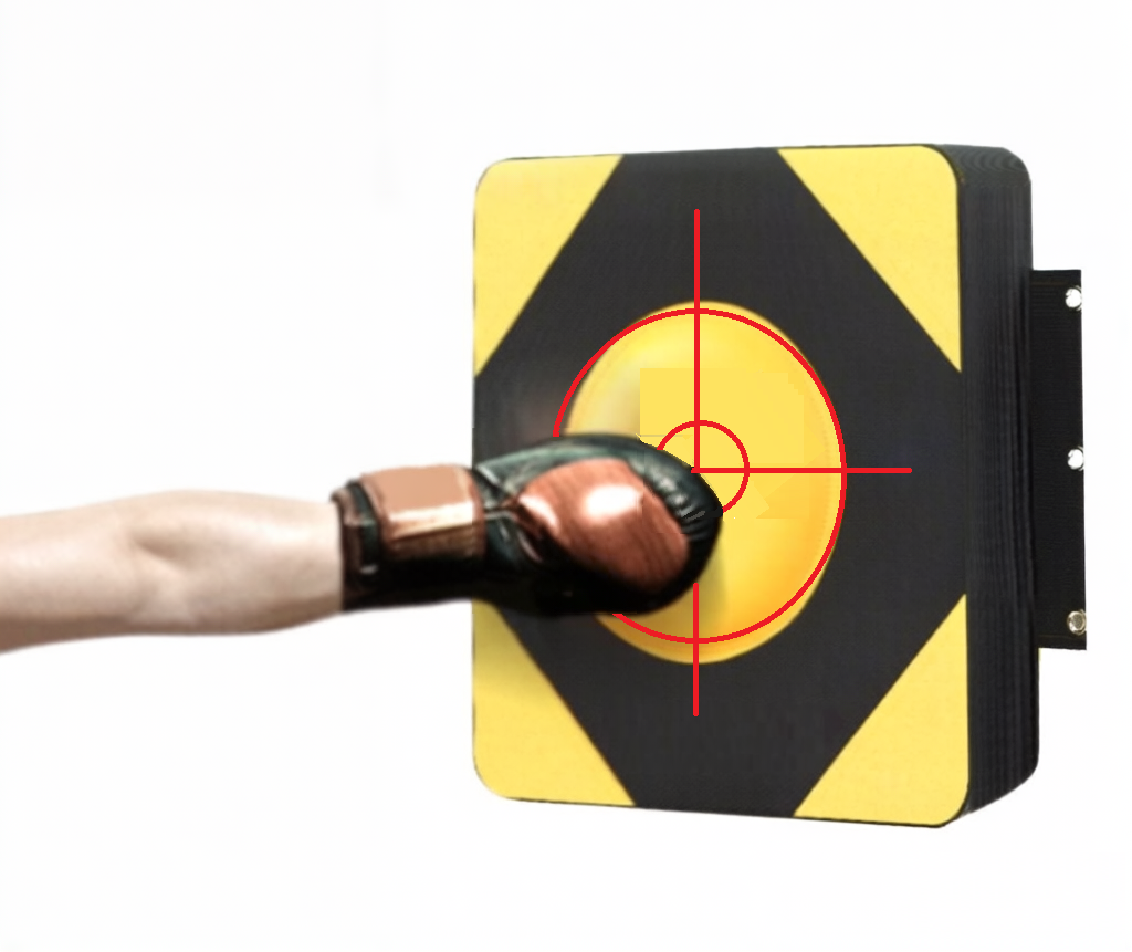 Boxing Wall Target